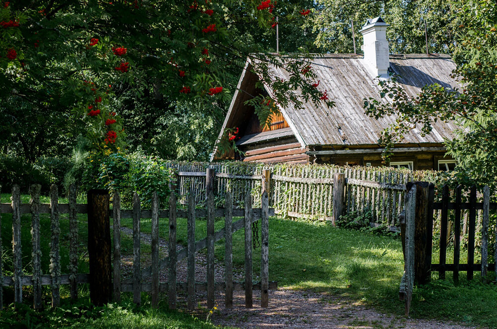 Photograph by Святлана Фiлiпеня