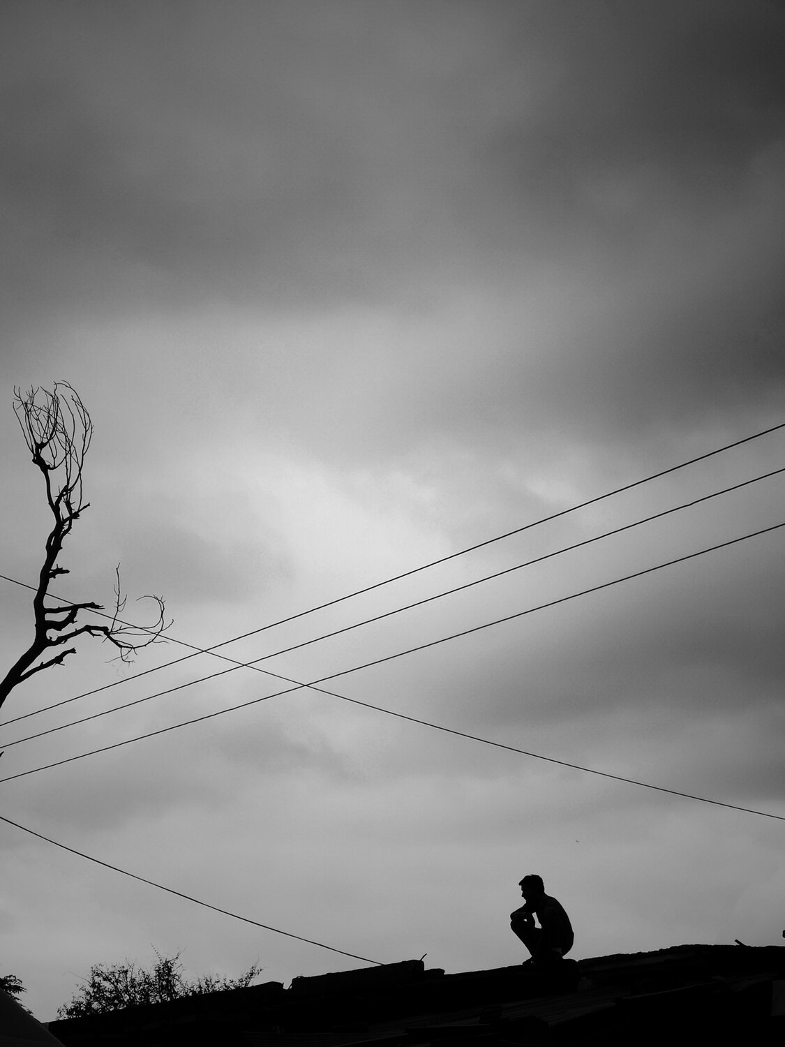 Photo #13858278
