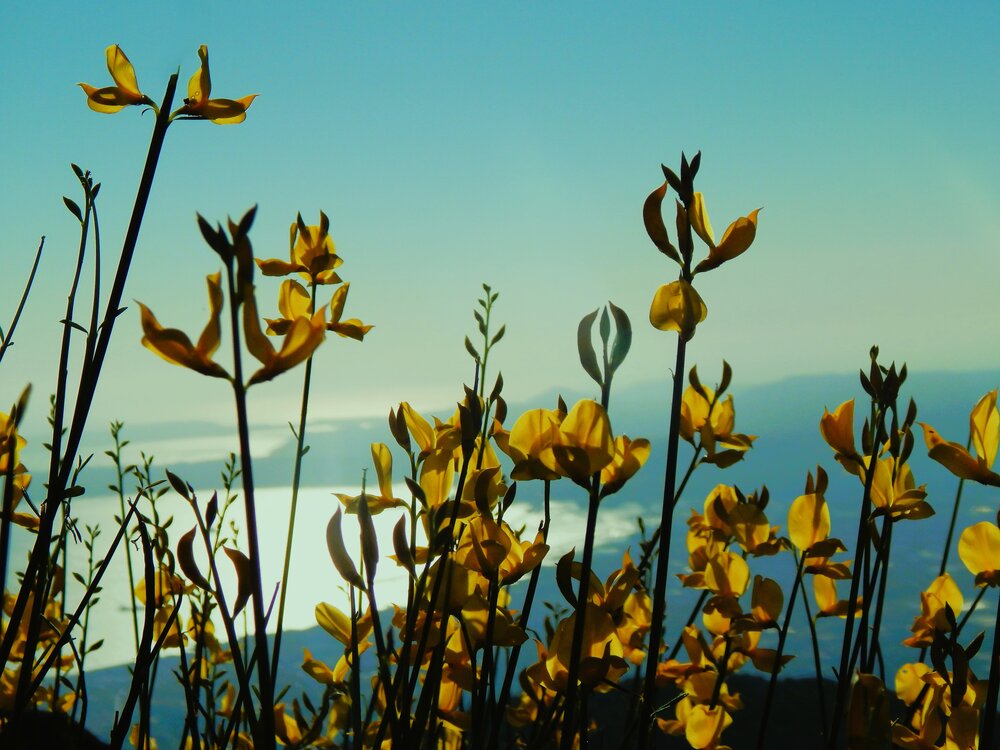 Photograph by Pierpaolo Annunziata