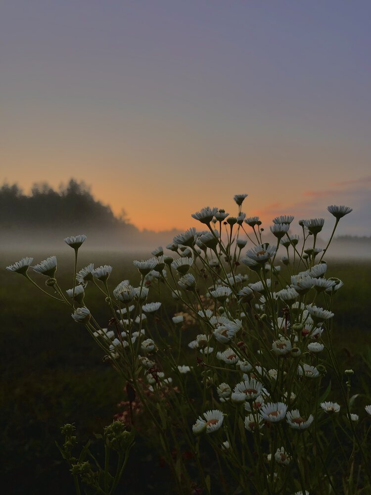 Photograph by Eleonora Zimareva