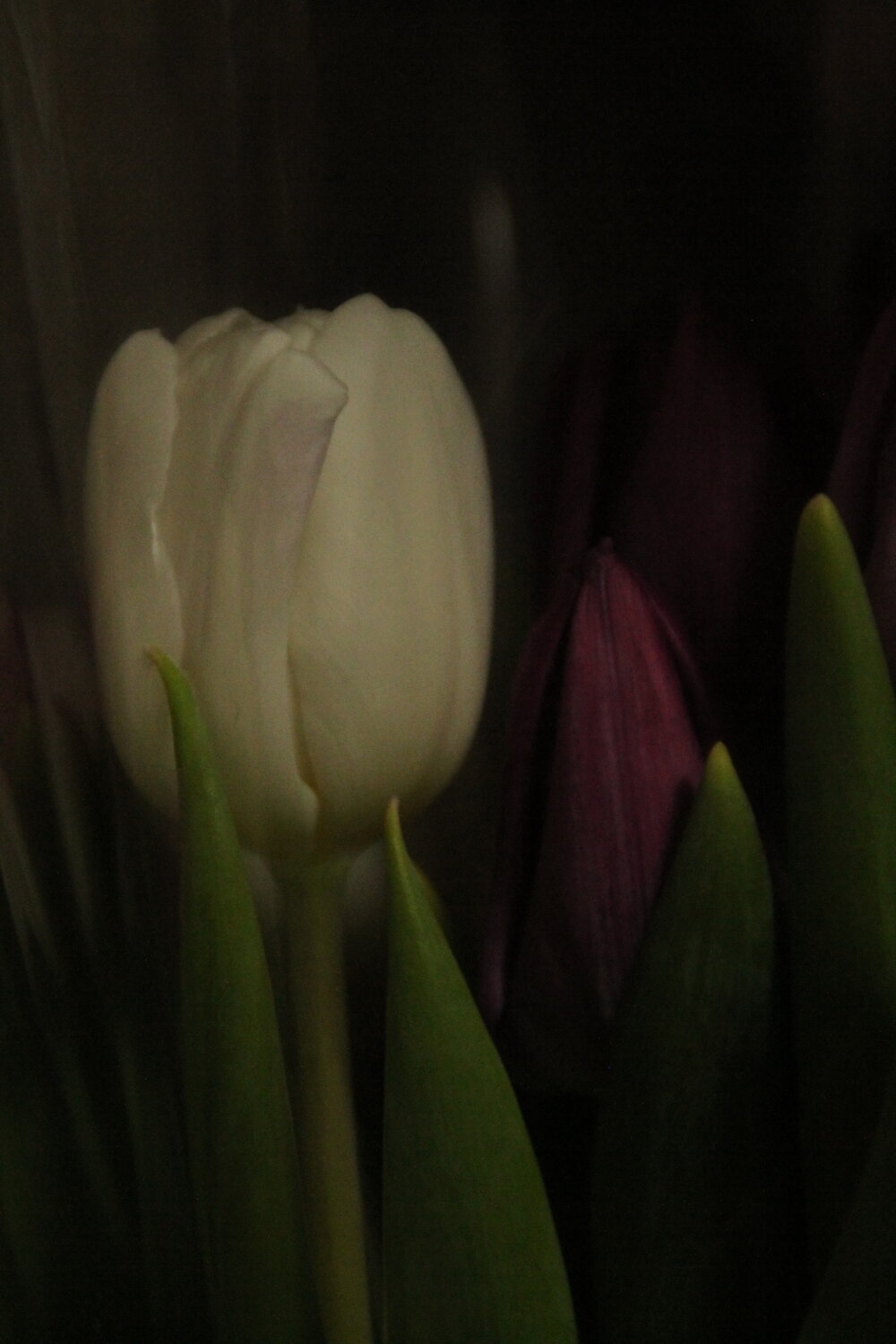 Photo #13858326