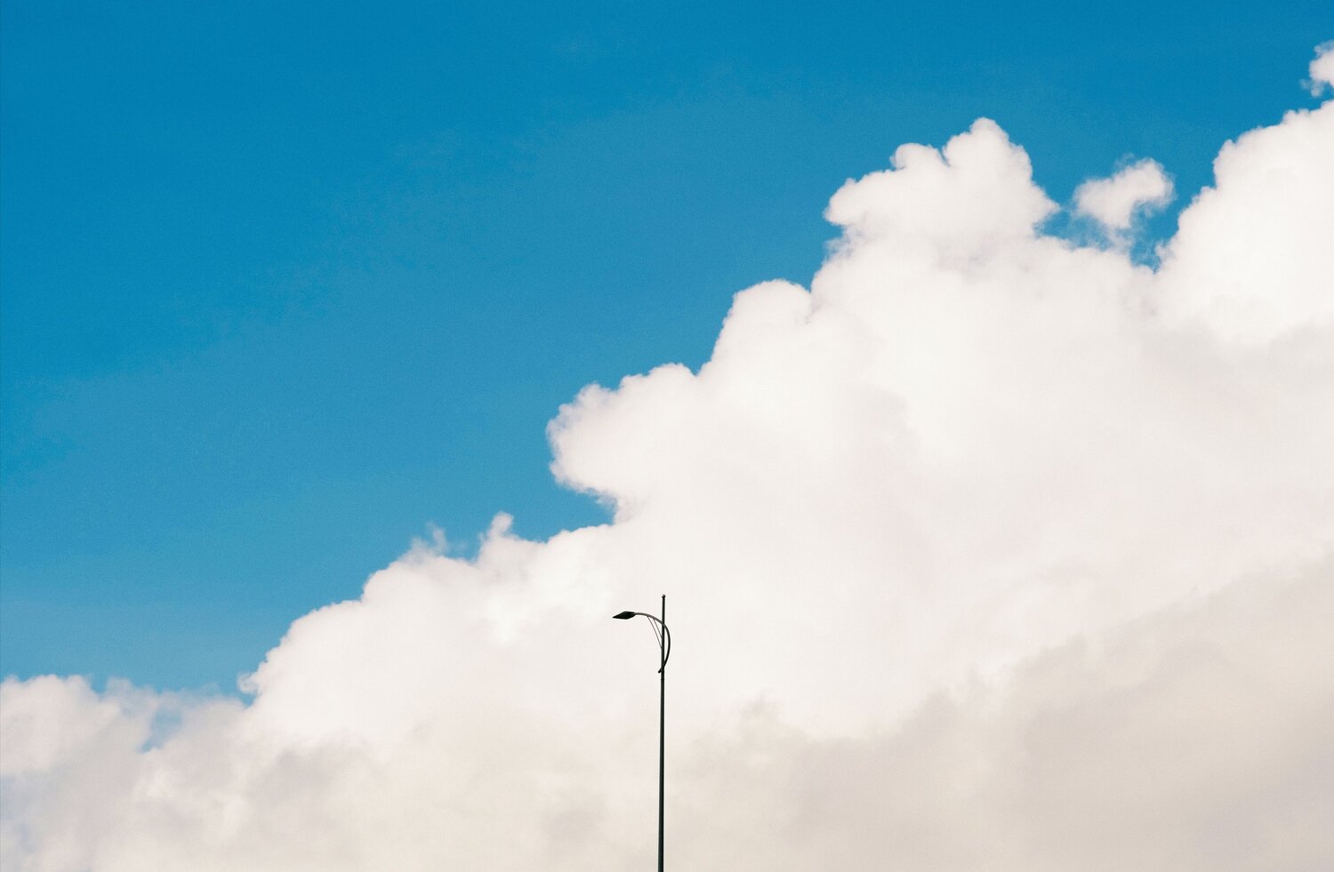 Photo #13858331