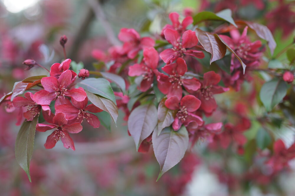 Photo #13858354
