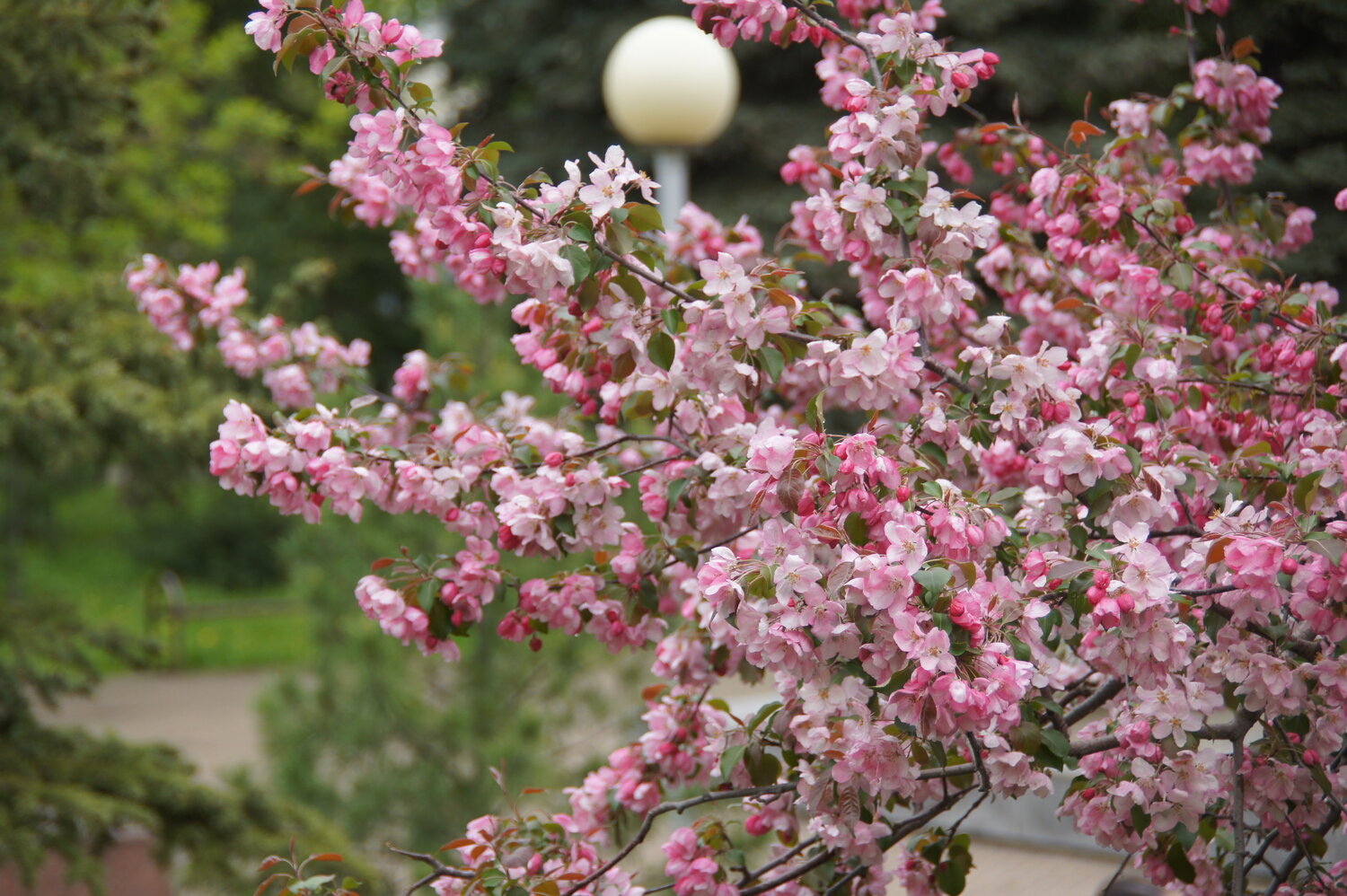Photo #13858358