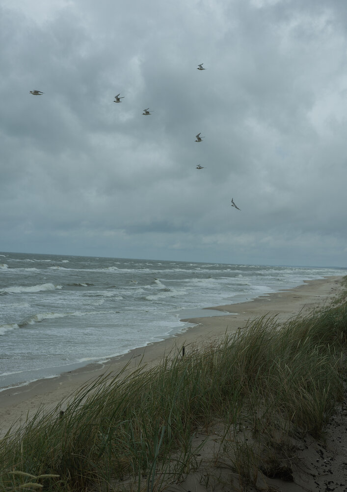 Photograph by Татьяна Сизова