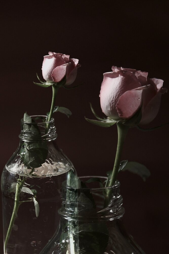 Photograph by Яна Истоцкая