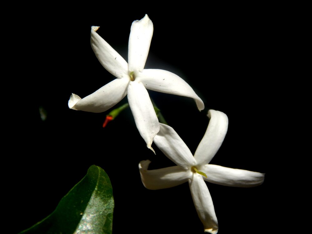 Photograph by Pierpaolo Annunziata