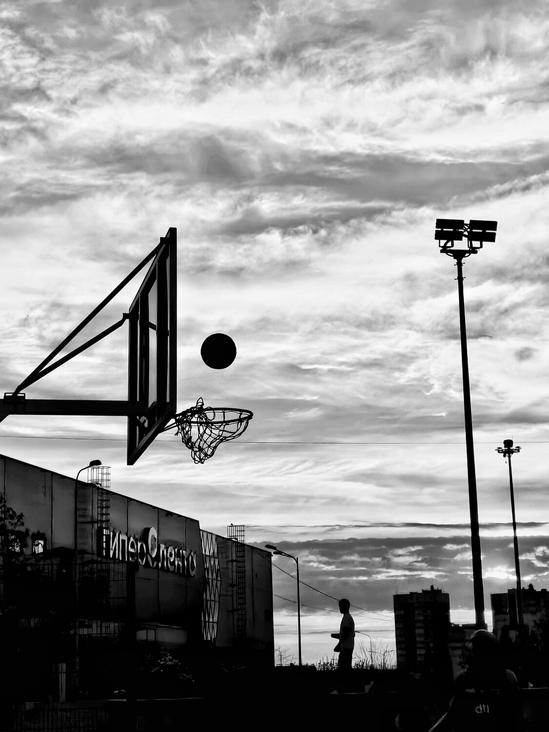 Photo #13858444