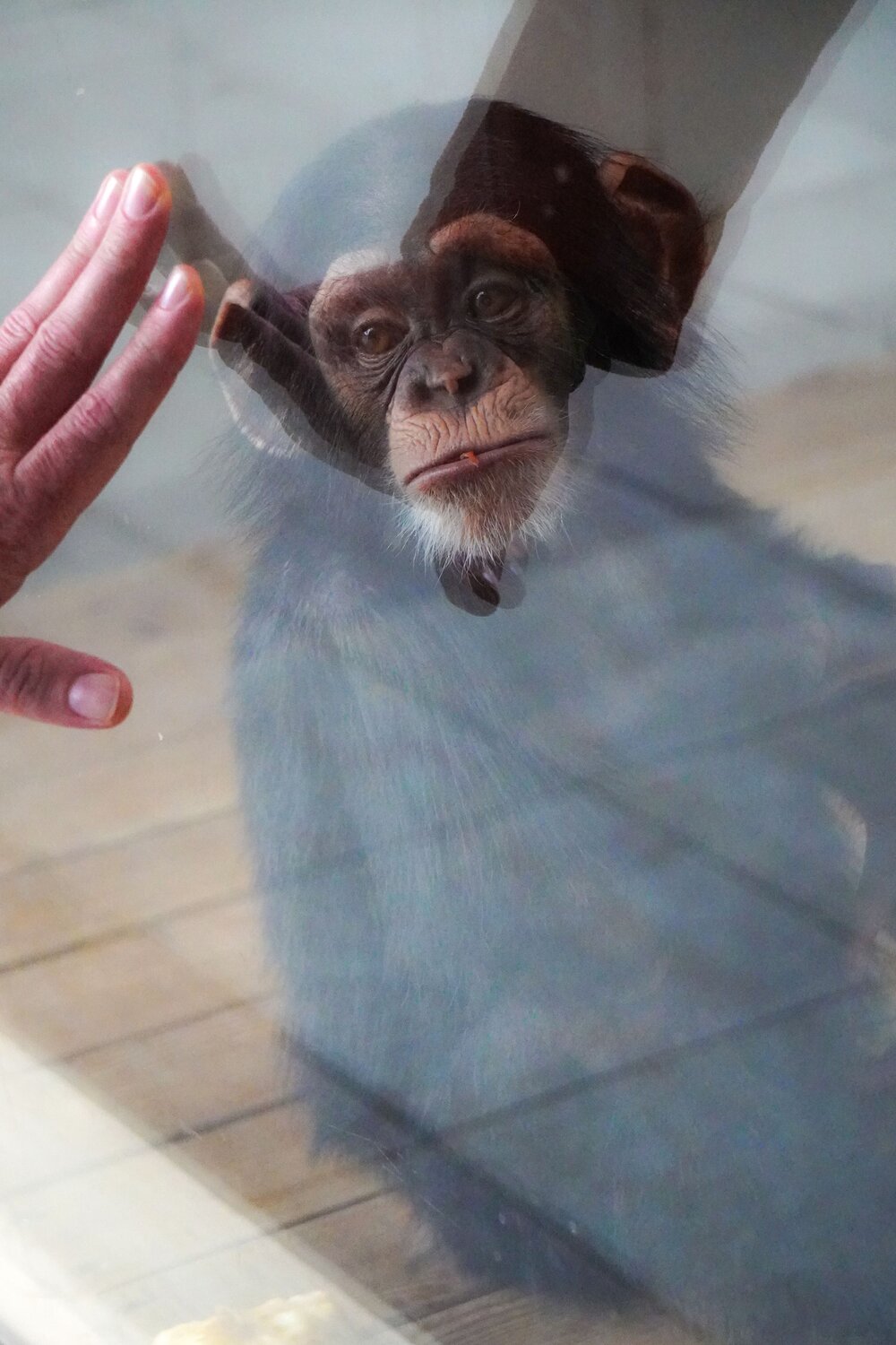 Photo #13858479