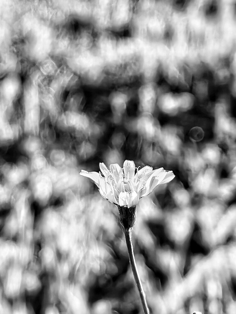 Photograph by Мария Тёмкина