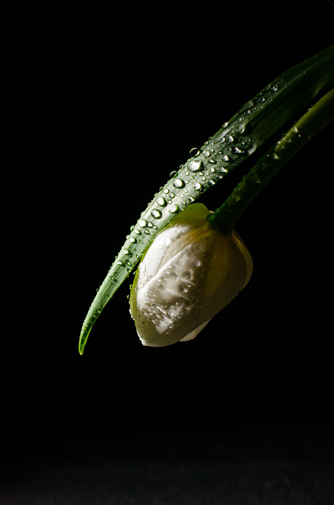 Photograph by Сергей Ширшов