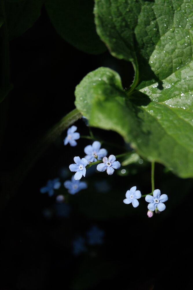 Photograph by Яна Истоцкая