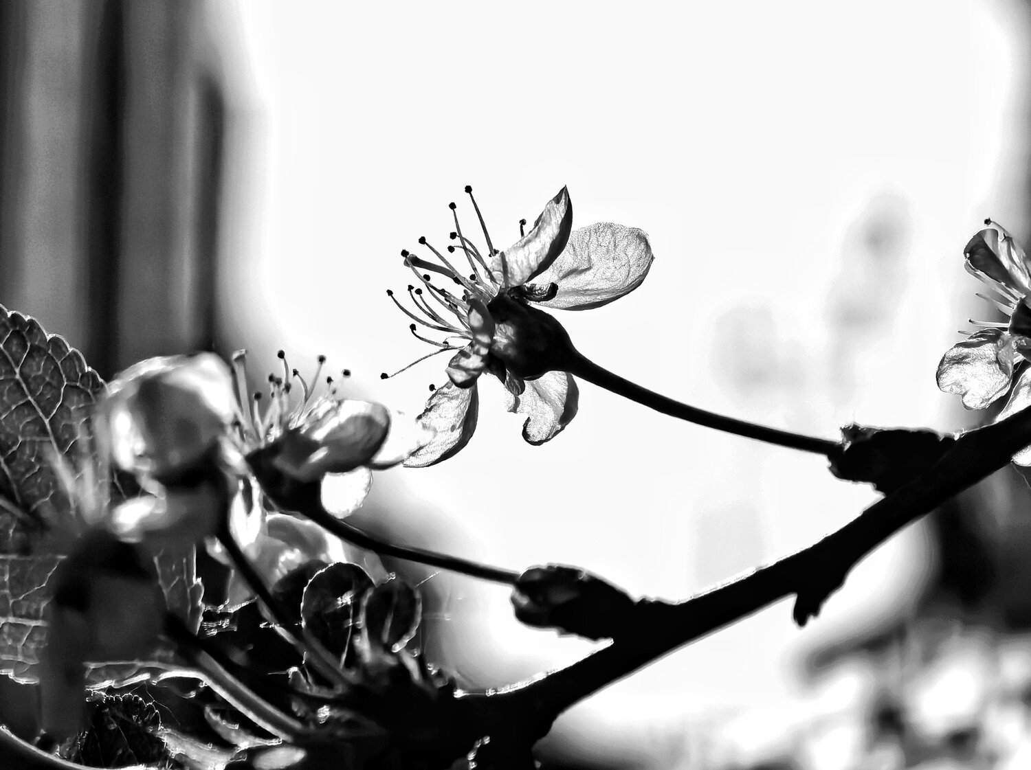 Photo #13858515
