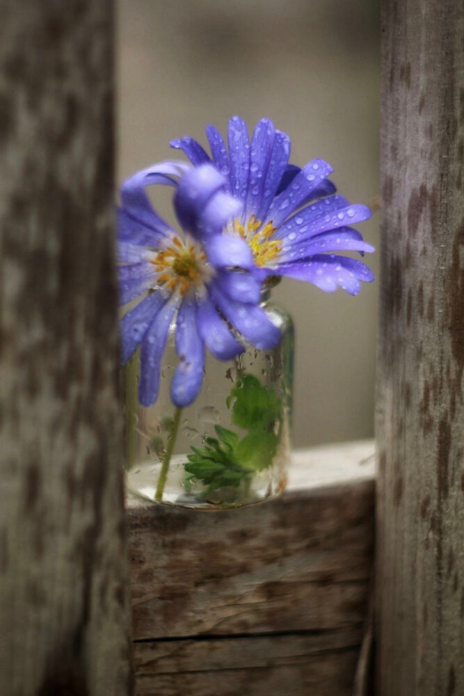 Photograph by Антонина Кузнецова