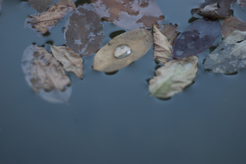 Photo #13858591