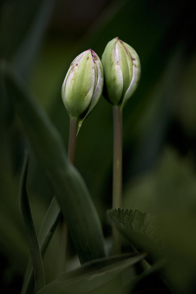 Photograph by Дмитрий Казачек