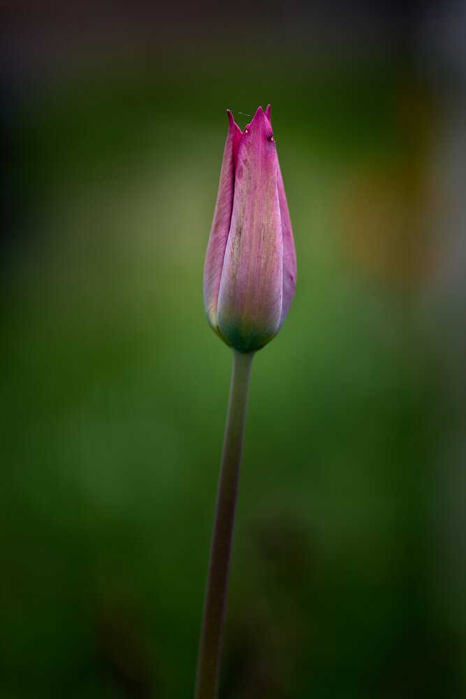 Photograph by Дмитрий Казачек