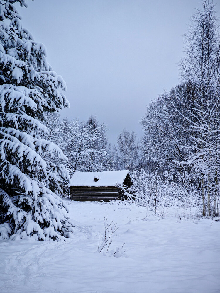 Photo #13858665