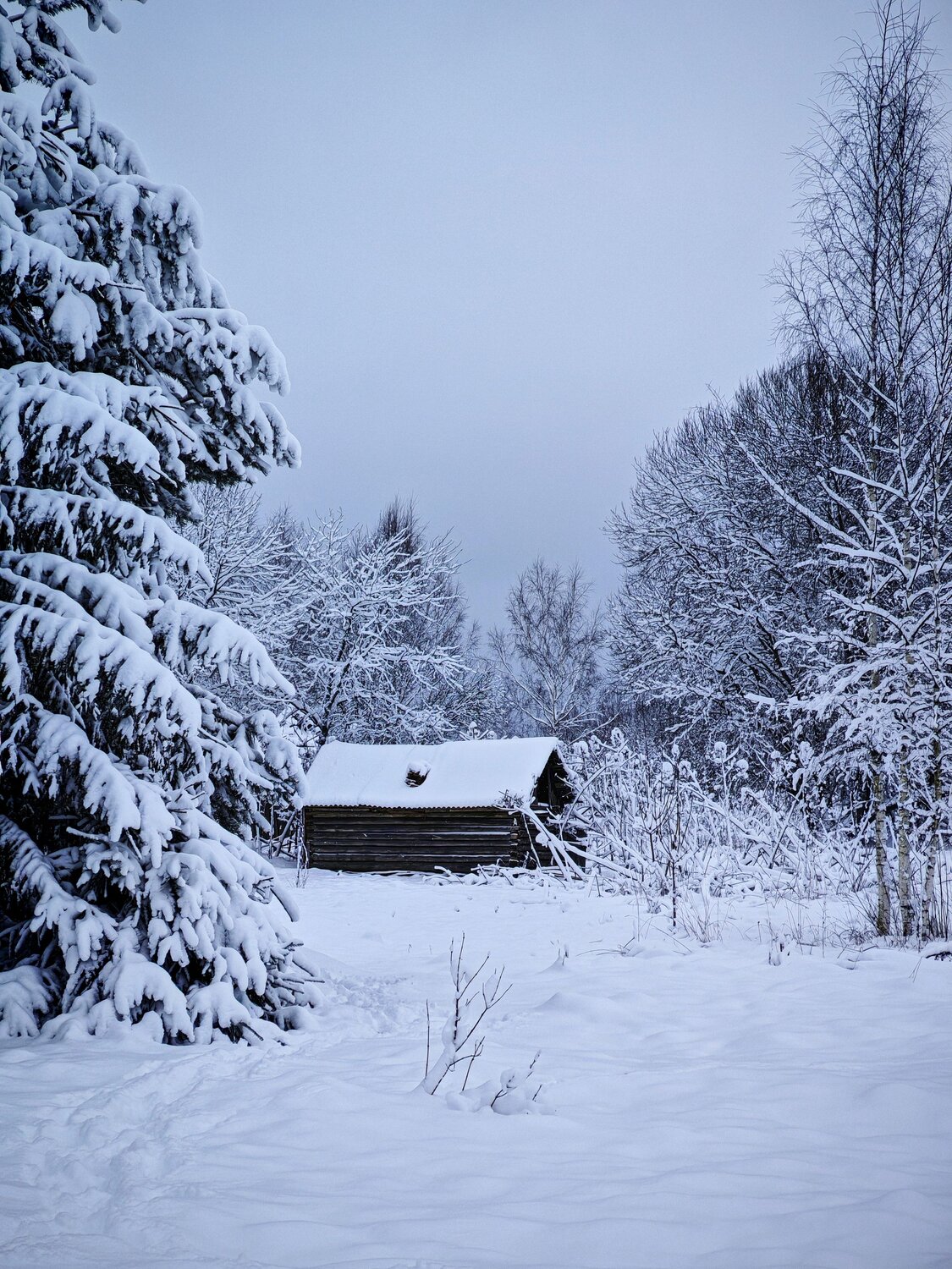 Photo #13858665