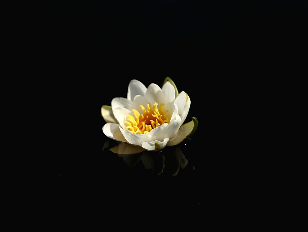Photograph by Анатолий Буянов