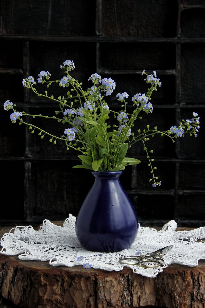 Photograph by Татьяна Орехова