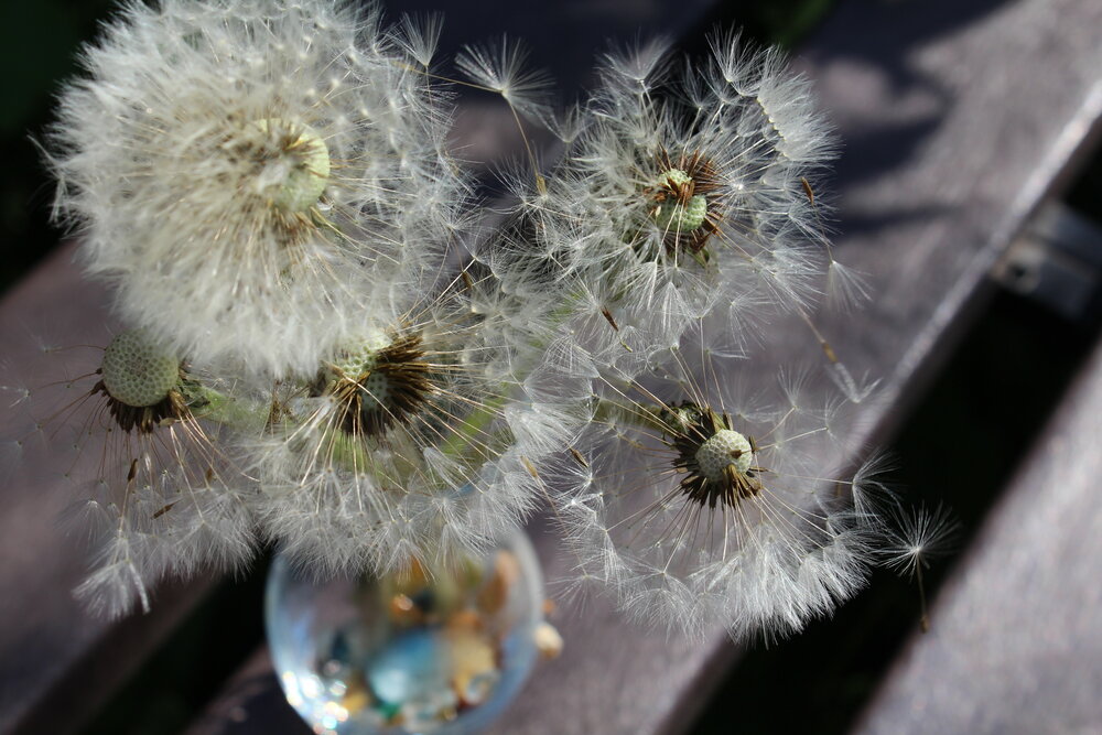 Photograph by Юлия