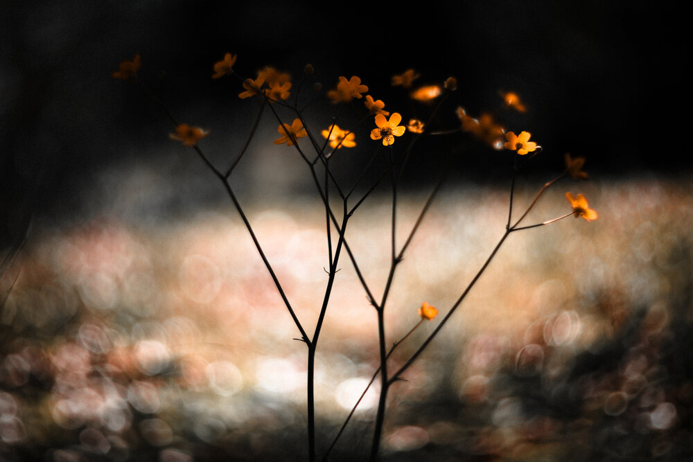 Photograph by Selman Senturk