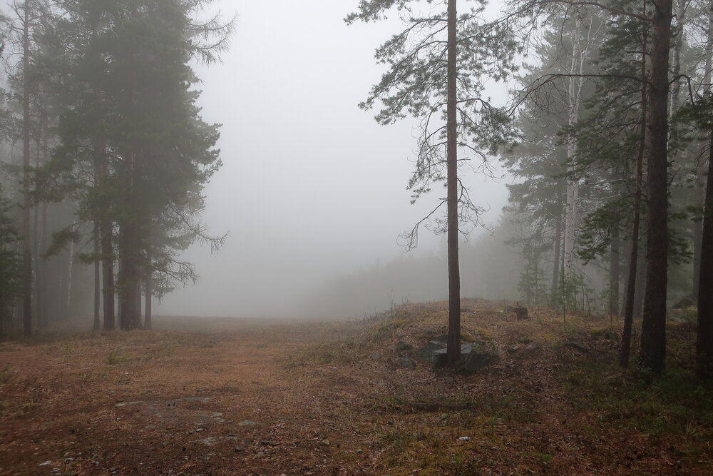 Photo #13858713
