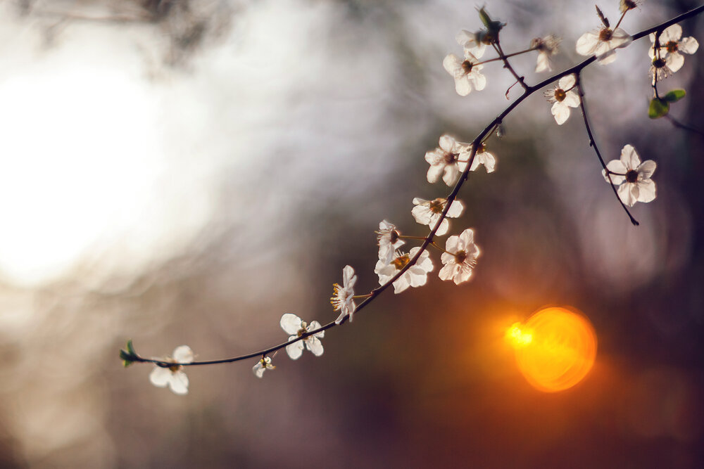 Photograph by Selman Senturk