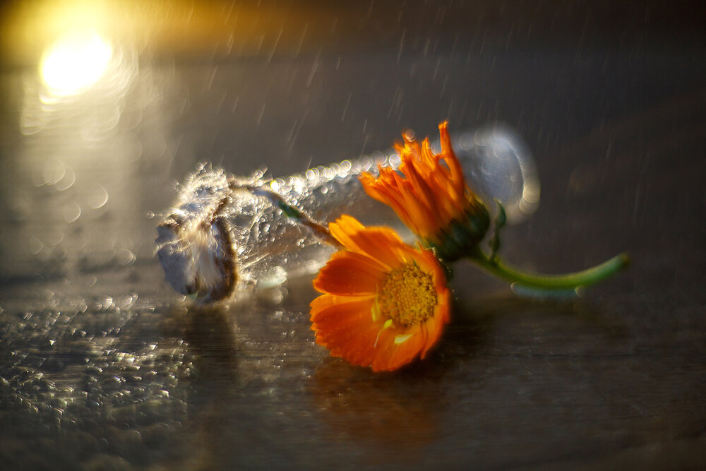 Photograph by Selman Senturk