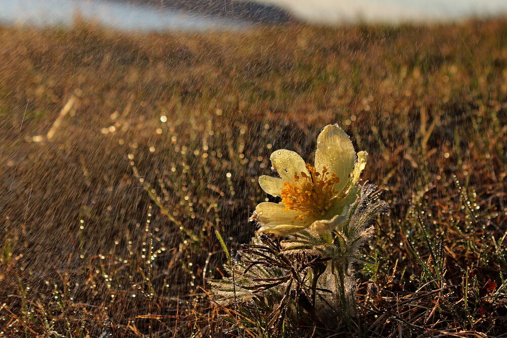 Photograph by Александр Велигура