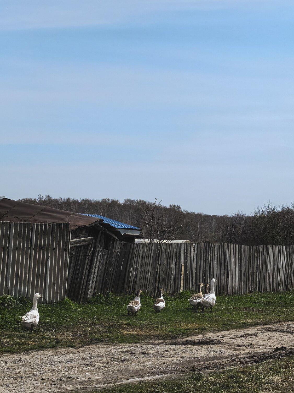 Photo #13858728