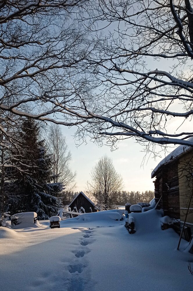 Photo #13858734