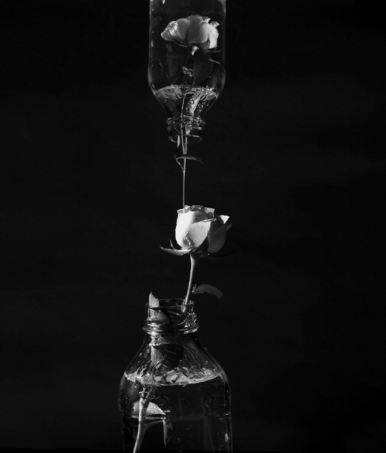 Photo #13858743