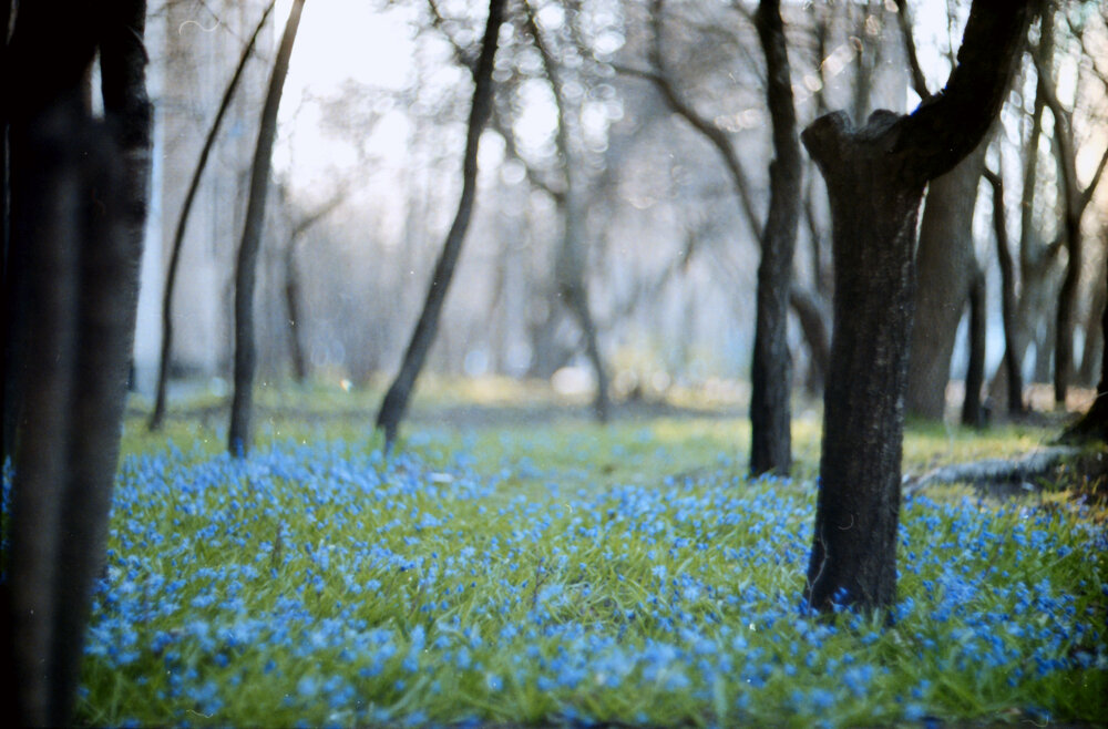 Photograph by Роман Бадусов