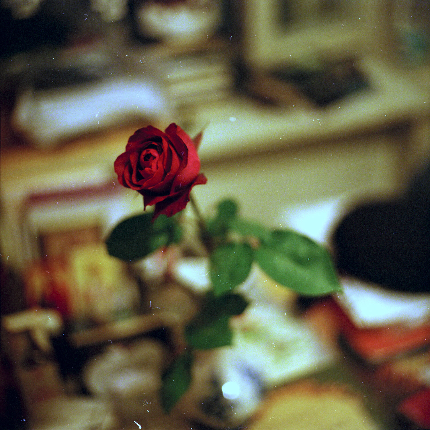 Photo #13858823