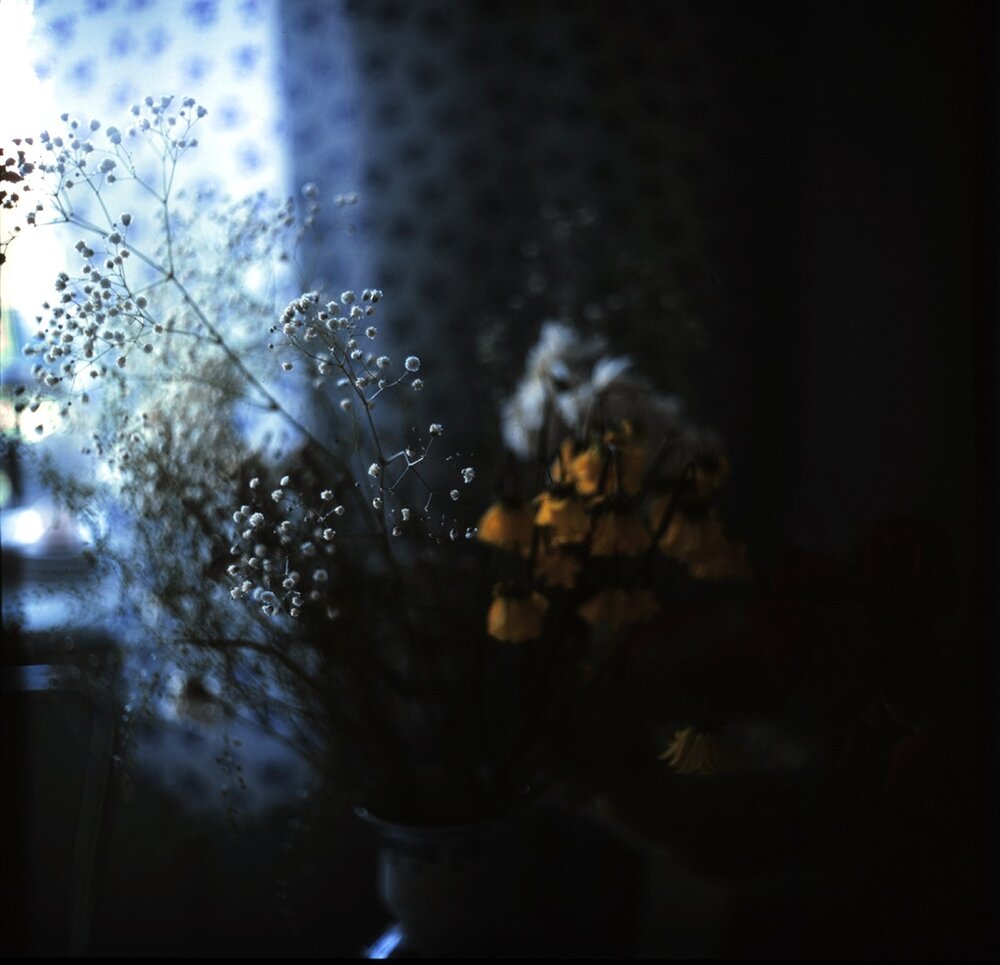 Photograph by Роман Бадусов