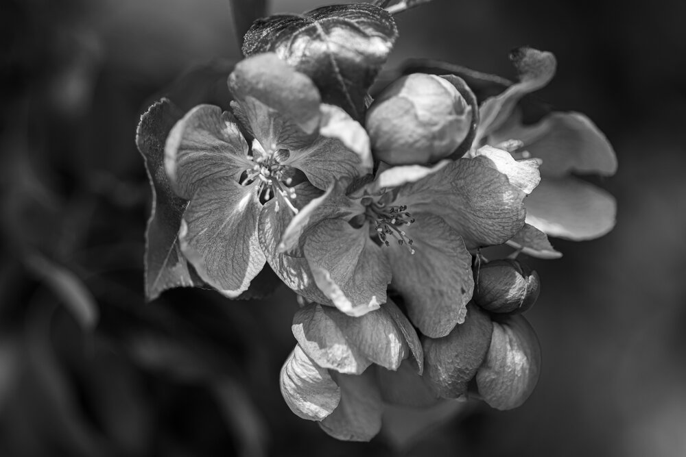Photograph by Елена Берсенёва