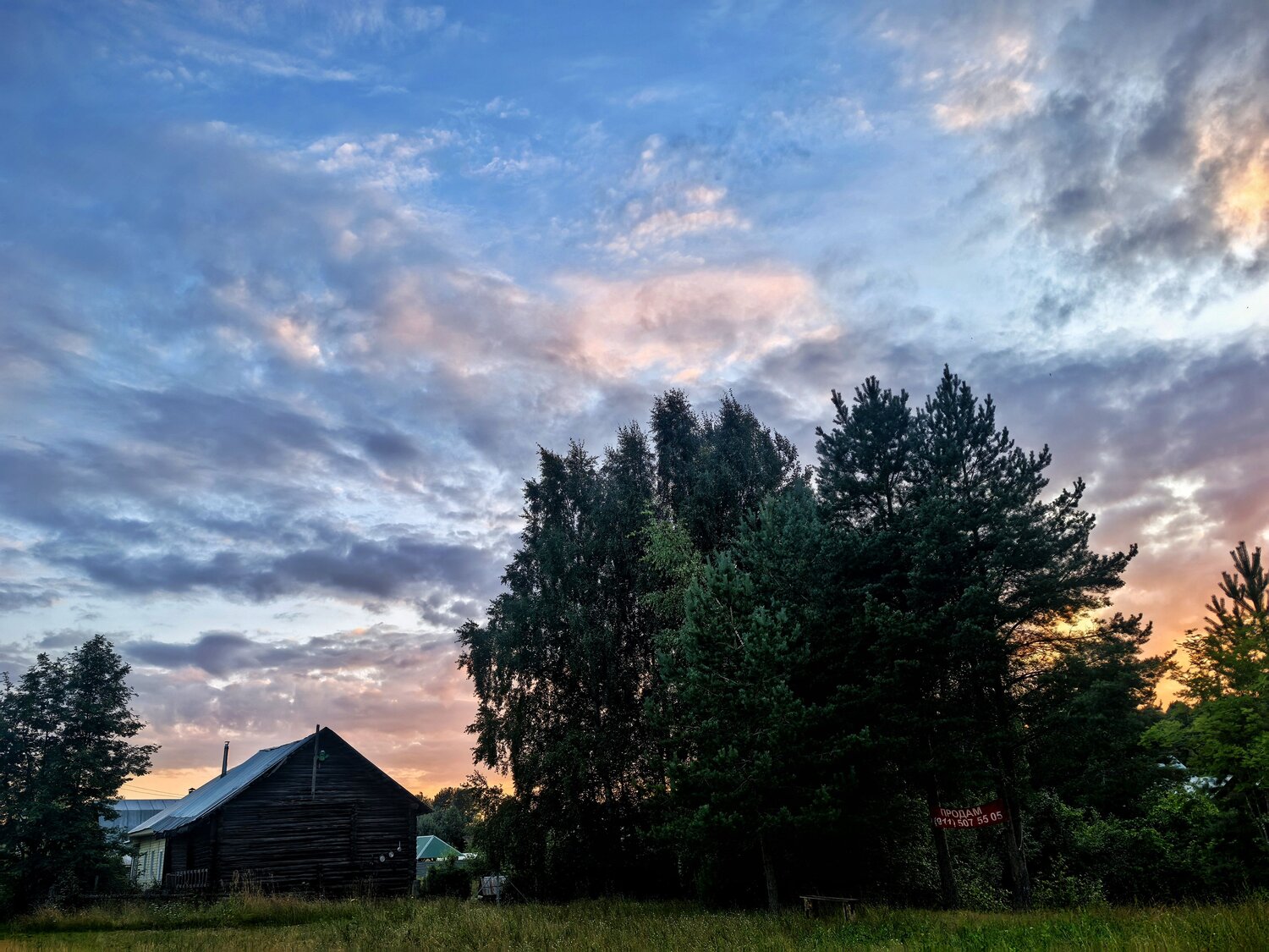 Photo #13858856