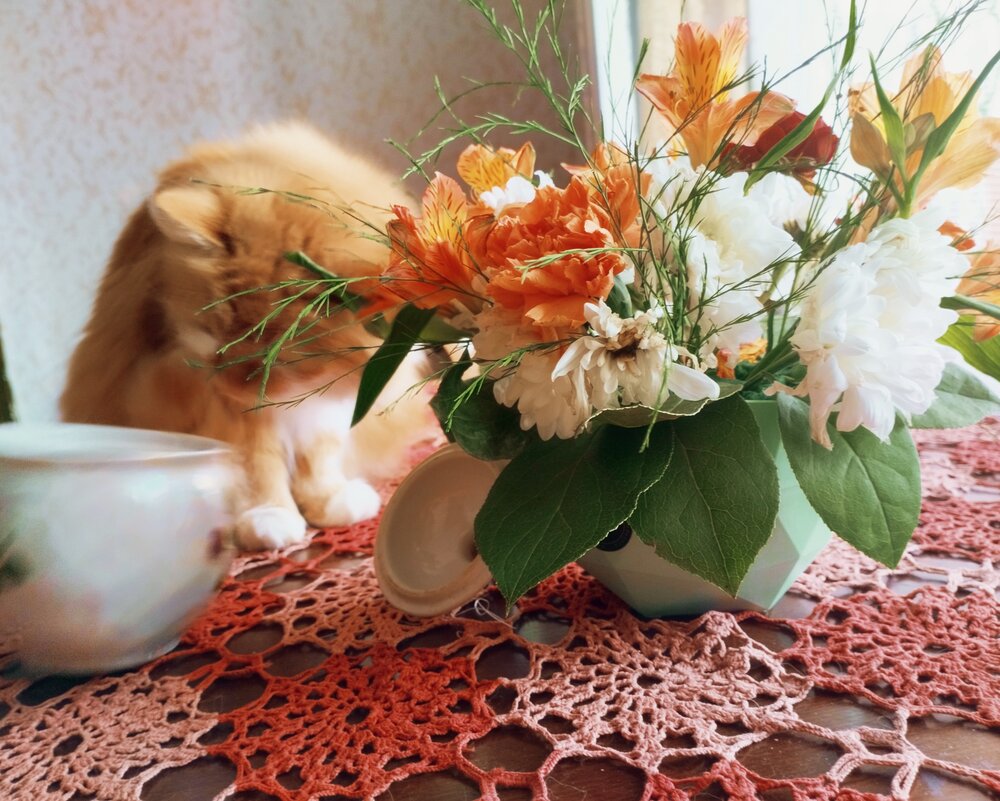 Photograph by Надежда Болтунова