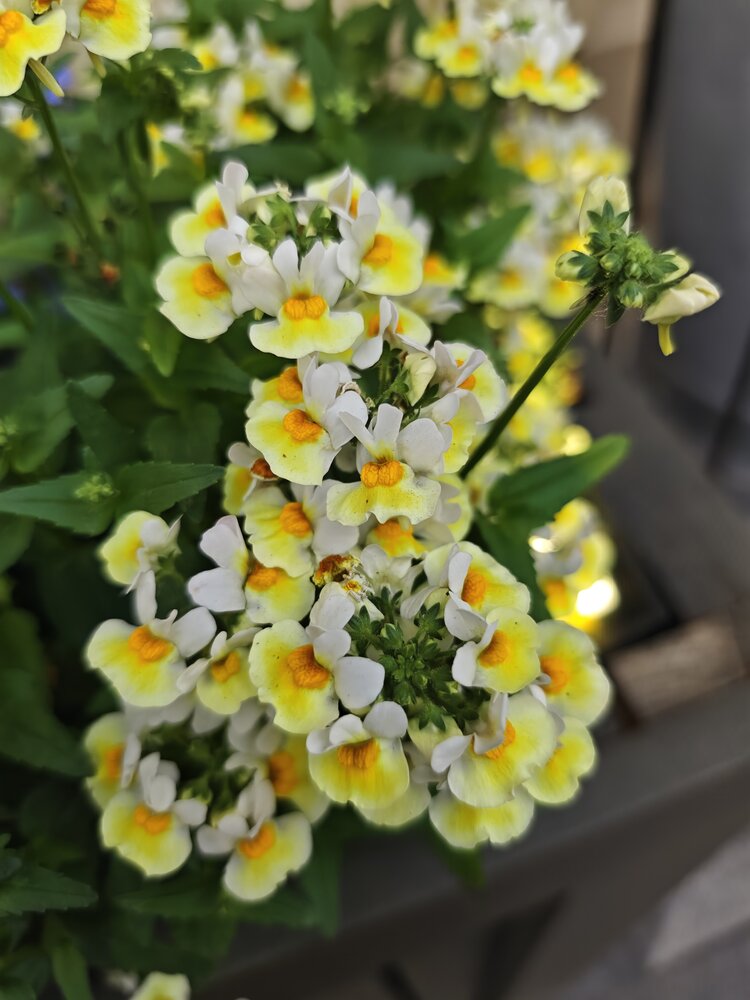 Photograph by Купцова Надежда
