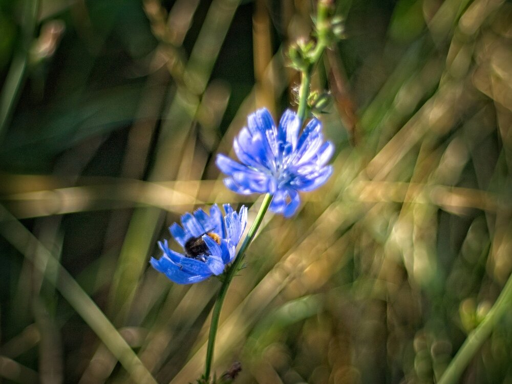 Photograph by Илюшечкина Екатерина