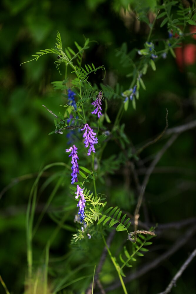 Photograph by G Shish