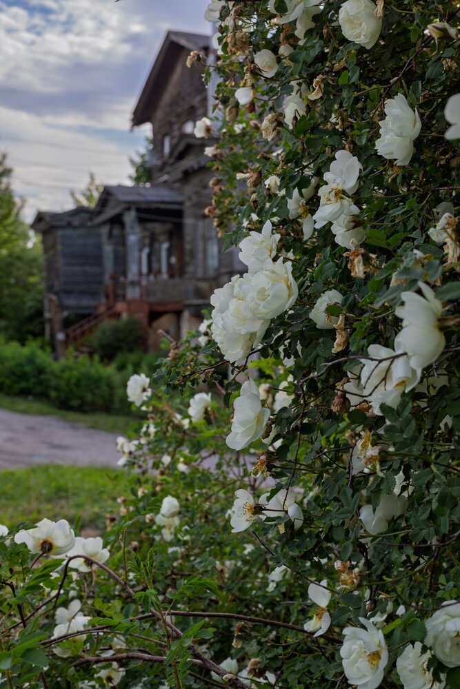 Photograph by Алексей Власов