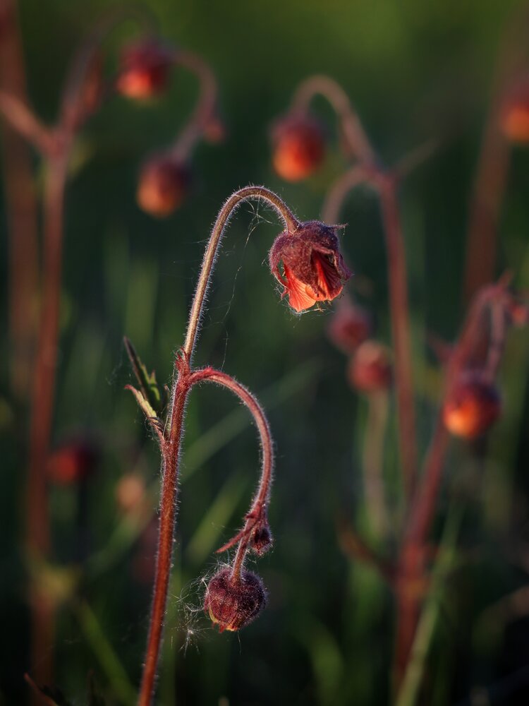 Photograph by Андрей Шестаков
