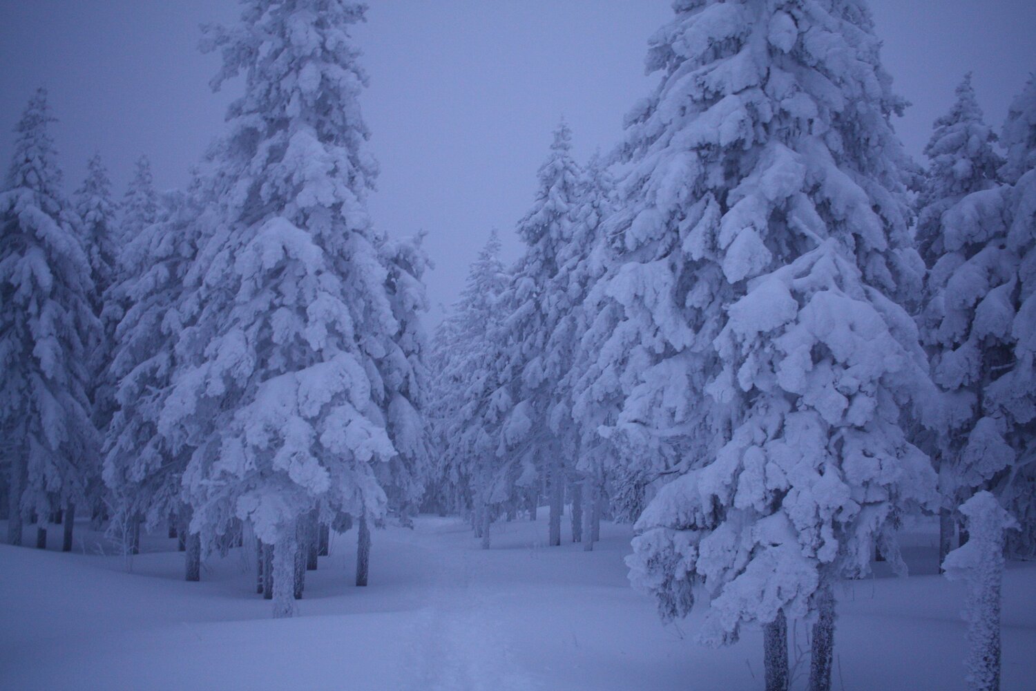 Photo #13859071