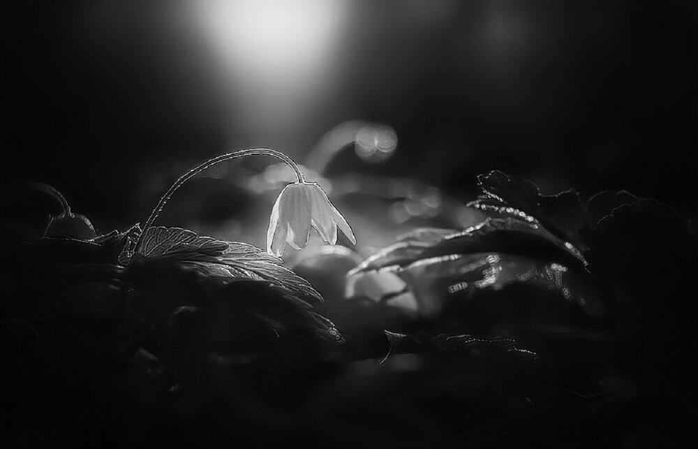 Photograph by Владимир