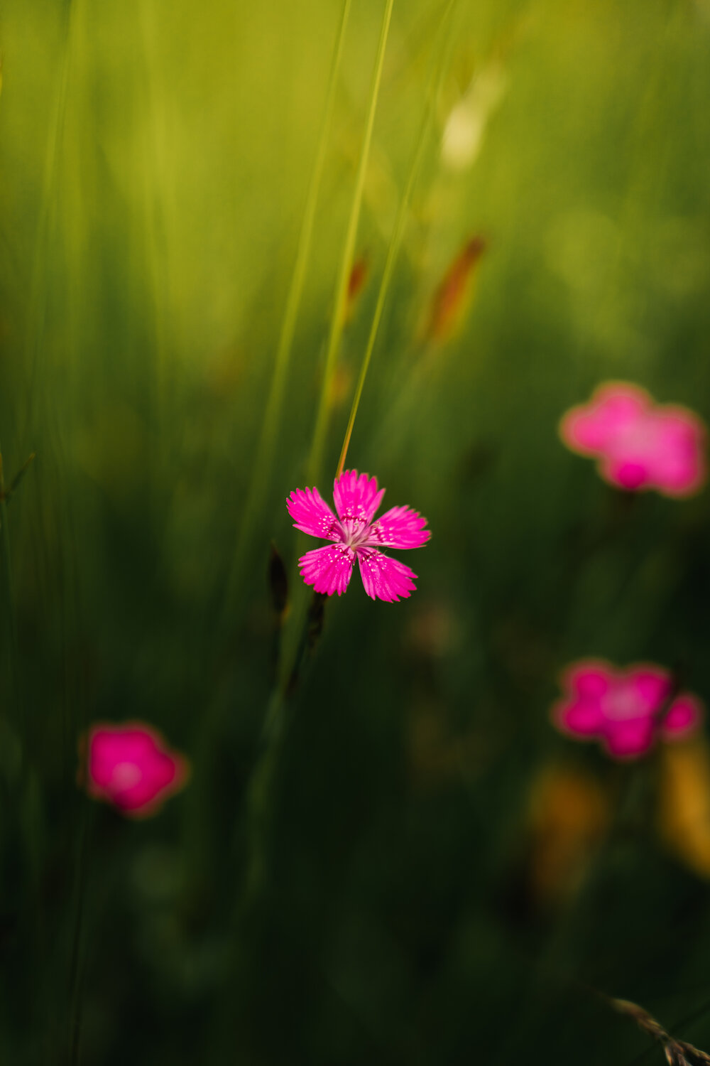 Photo #13859158