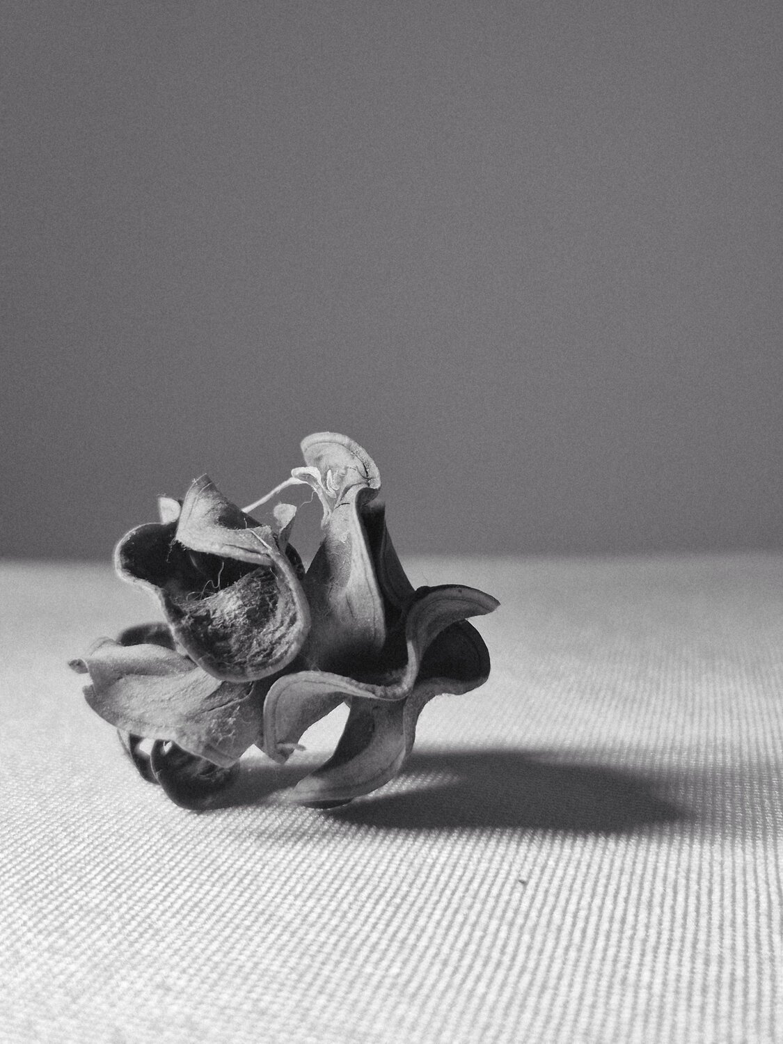 Photo #13859208