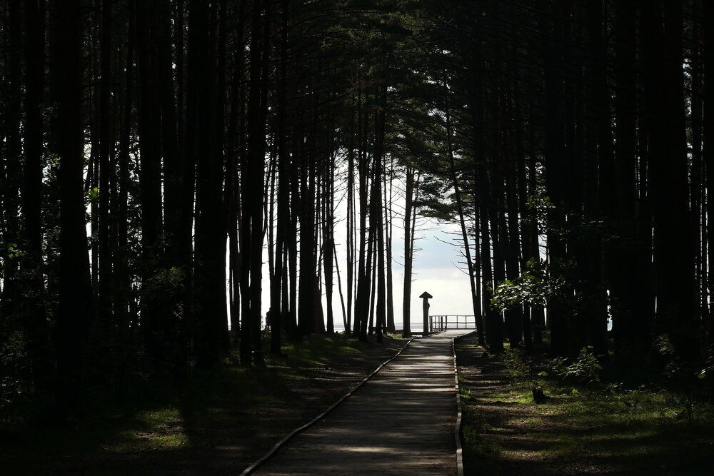 Photograph by Владимир Лобанов